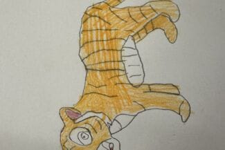 Tack för magisk låtskrivarverkstad Nordmaling! 182 v. 45 Nordmaling-Skapande-Skola-1731933908-34